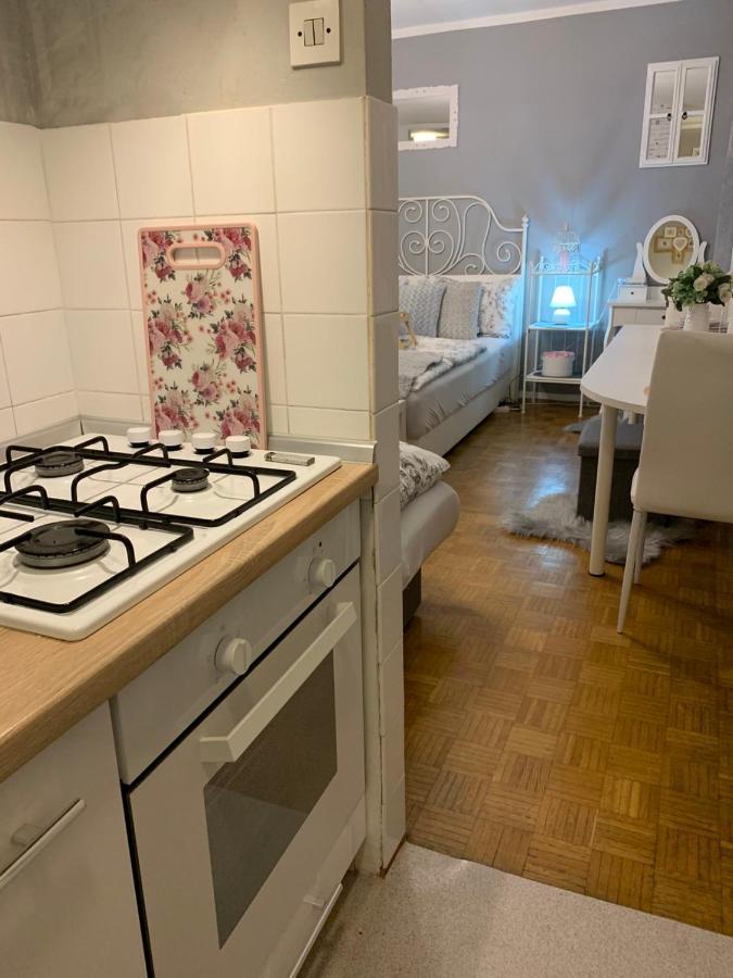 Apartment Lautus Maribor Bagian luar foto
